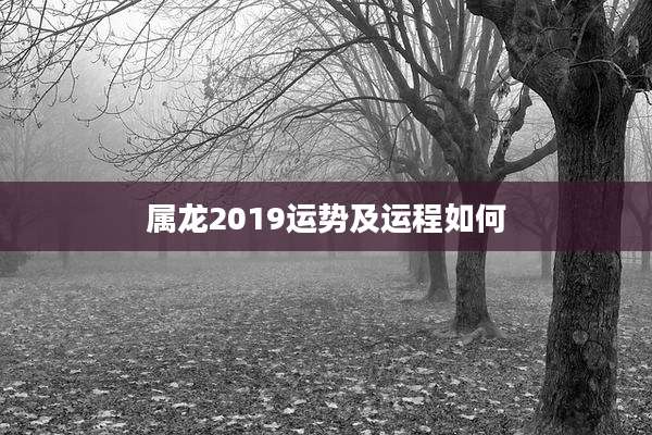 属龙2019运势及运程如何