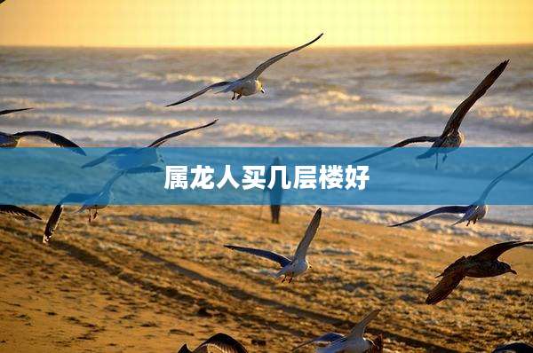 属龙人买几层楼好