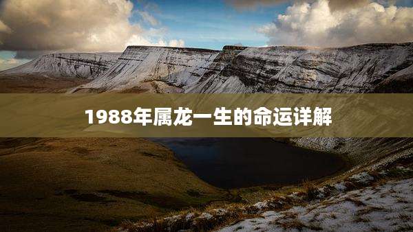 1988年属龙一生的命运详解