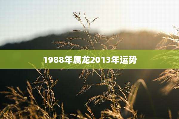 1988年属龙2013年运势