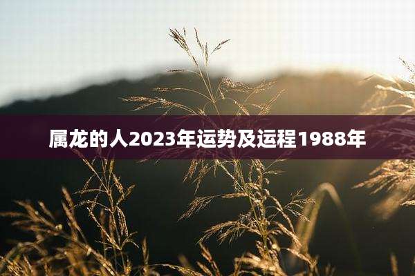 属龙的人2023年运势及运程1988年