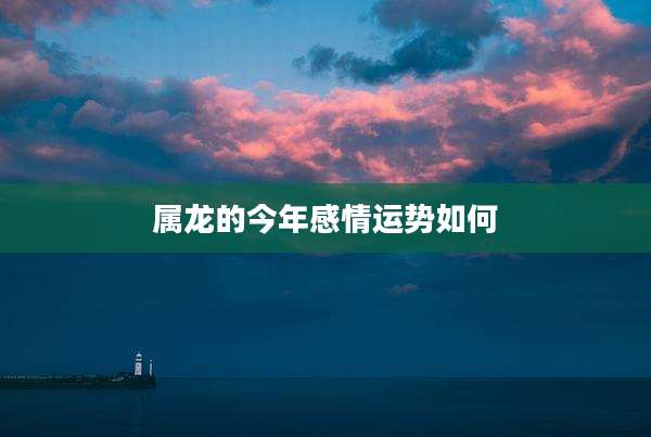 属龙的今年感情运势如何