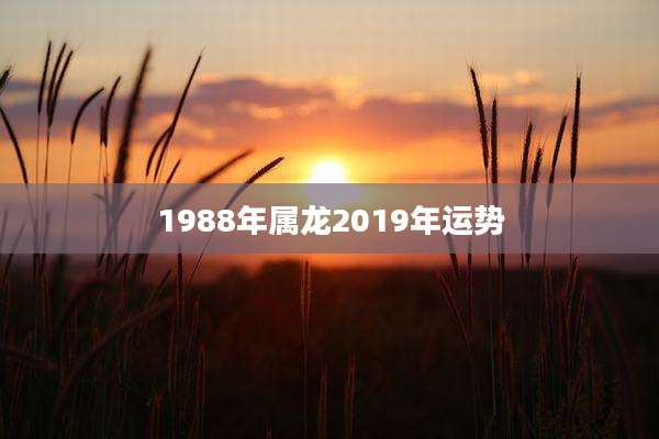 1988年属龙2019年运势