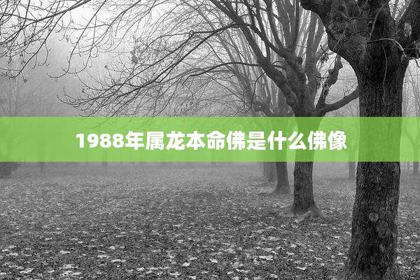 1988年属龙本命佛是什么佛像