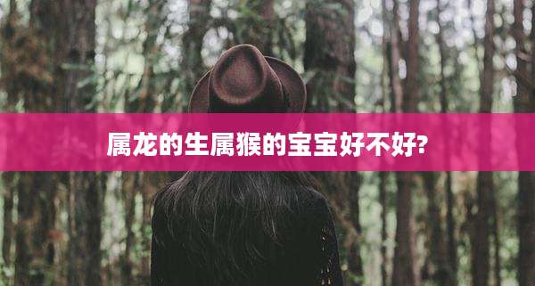 属龙的生属猴的宝宝好不好?