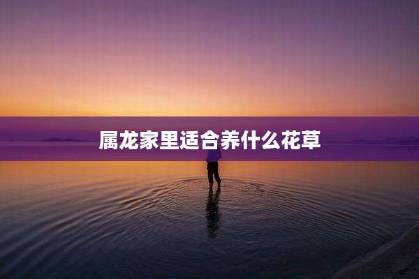 属龙家里适合养什么花草