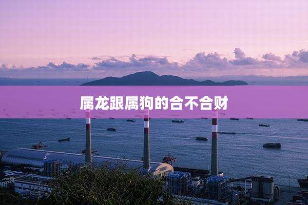 属龙跟属狗的合不合财