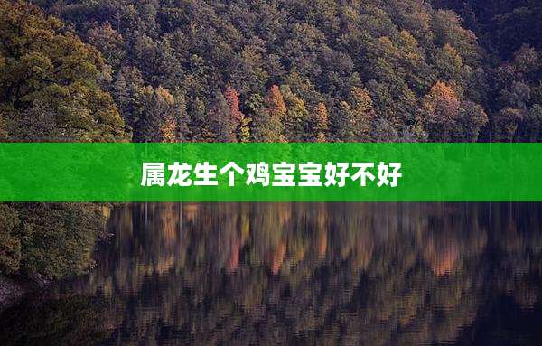 属龙生个鸡宝宝好不好