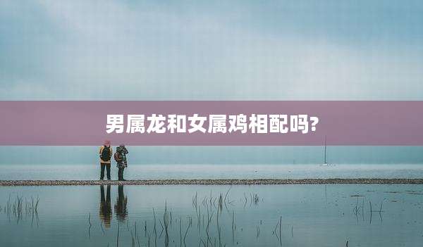 男属龙和女属鸡相配吗?