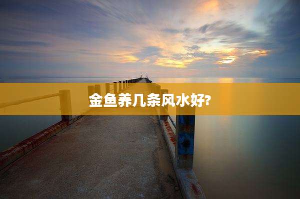 金鱼养几条风水好?