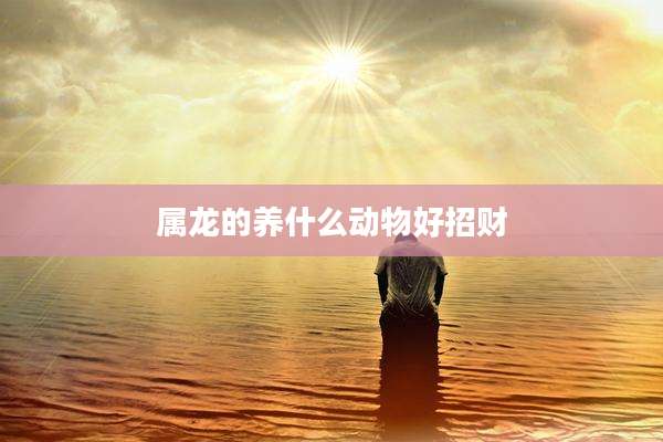 属龙的养什么动物好招财