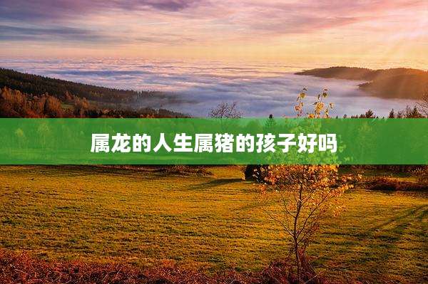 属龙的人生属猪的孩子好吗