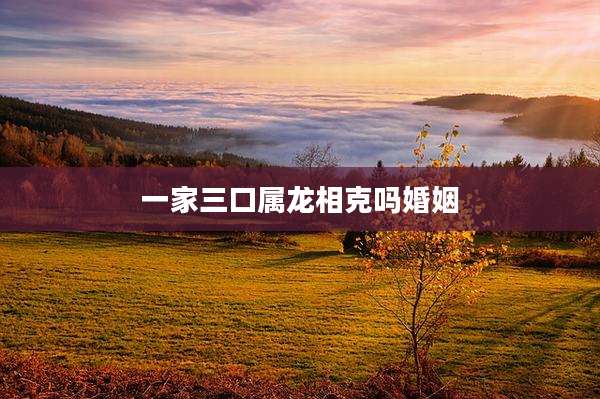 一家三口属龙相克吗婚姻