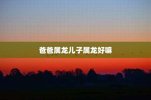 爸爸属龙儿子属龙好嘛
