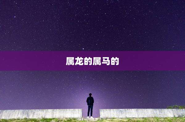 属龙的属马的