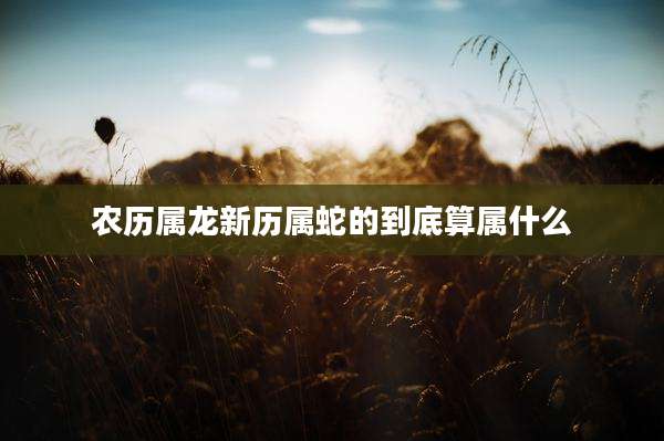 农历属龙新历属蛇的到底算属什么