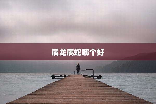 属龙属蛇哪个好