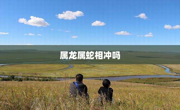 属龙属蛇相冲吗