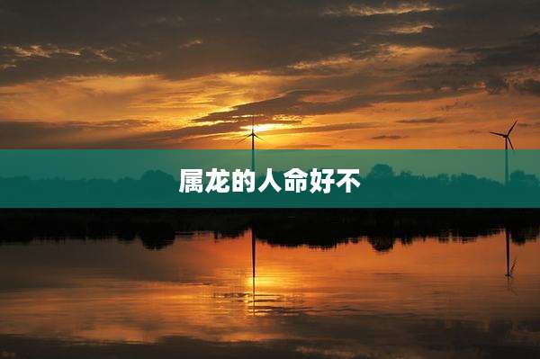 属龙的人命好不