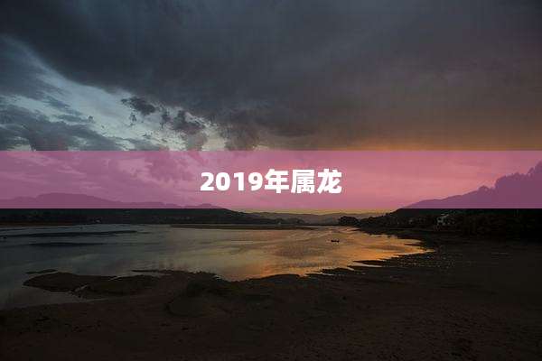 2019年属龙