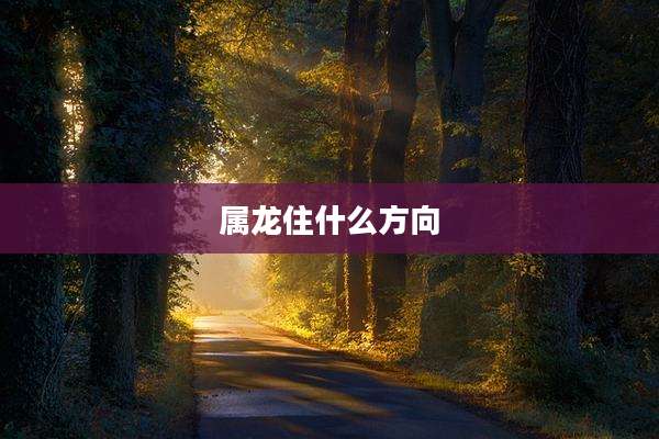 属龙住什么方向