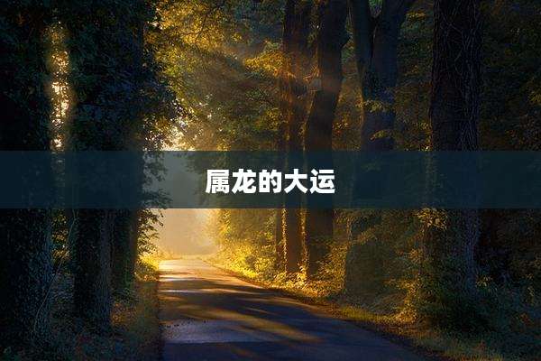 属龙的大运