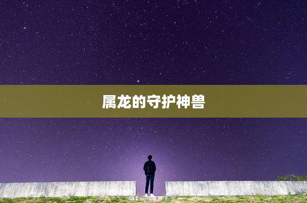 属龙的守护神兽
