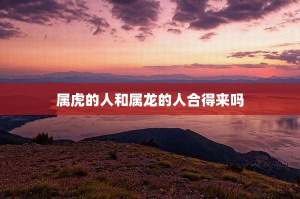 属虎的人和属龙的人合得来吗