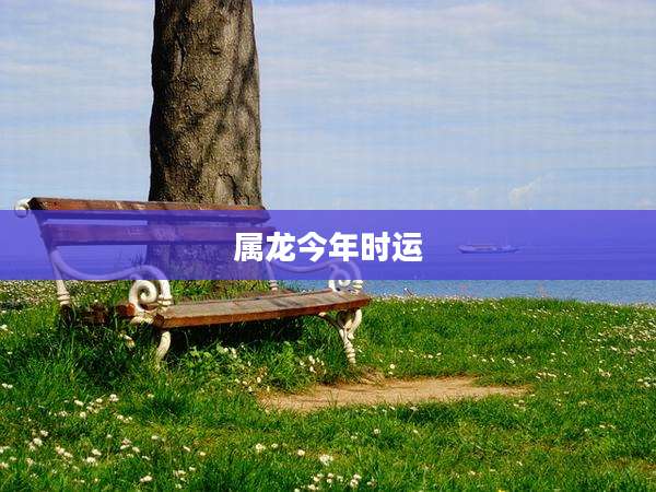 属龙今年时运