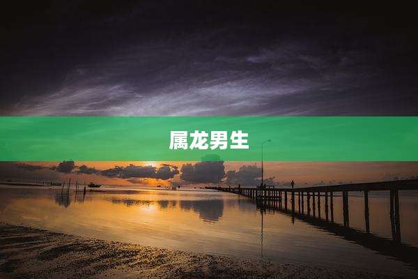 属龙男生
