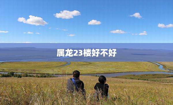属龙23楼好不好