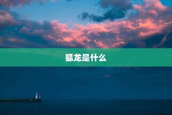 狐龙是什么