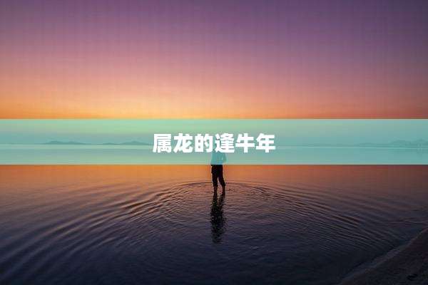 属龙的逢牛年