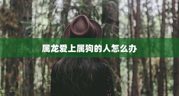 属龙爱上属狗的人怎么办