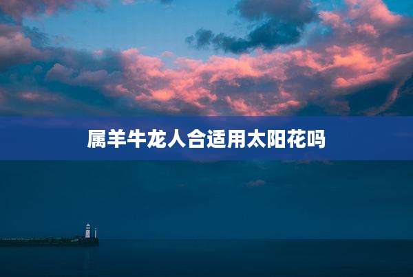 属羊牛龙人合适用太阳花吗