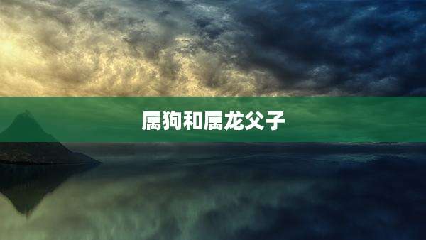 属狗和属龙父子