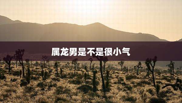 属龙男是不是很小气