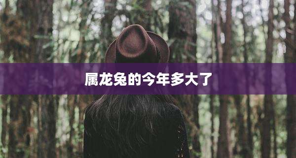 属龙兔的今年多大了