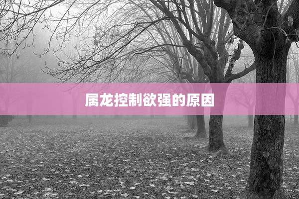 属龙控制欲强的原因