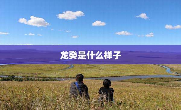 龙癸是什么样子