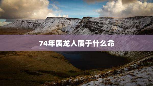 74年属龙人属于什么命