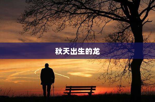 秋天出生的龙