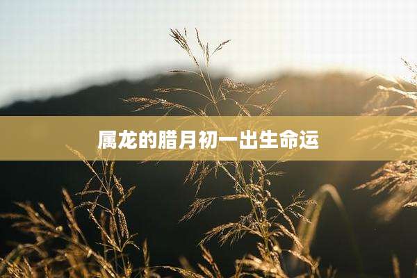 属龙的腊月初一出生命运
