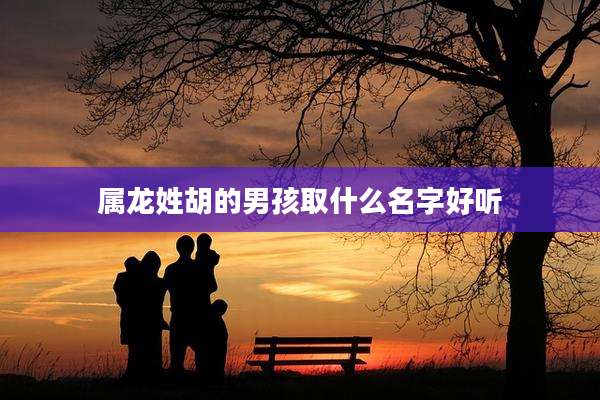 属龙姓胡的男孩取什么名字好听