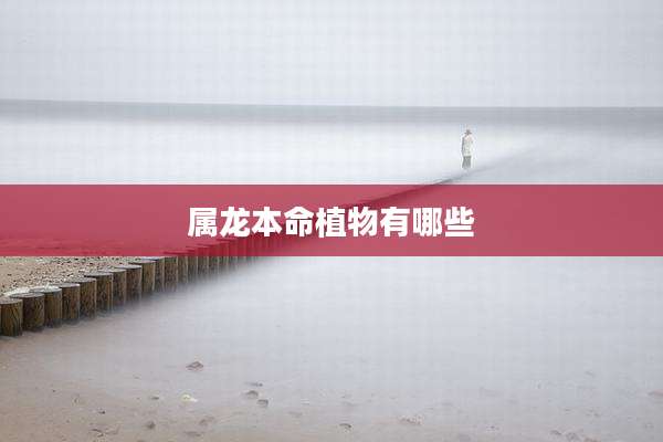 属龙本命植物有哪些