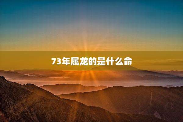 73年属龙的是什么命