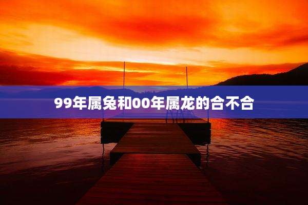 99年属兔和00年属龙的合不合