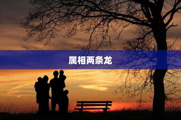 属相两条龙