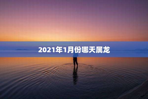 2021年1月份哪天属龙