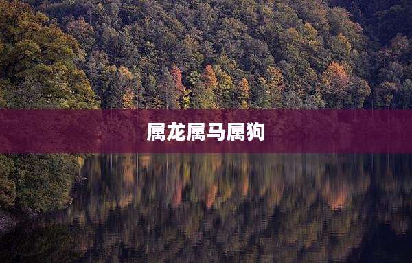 属龙属马属狗
